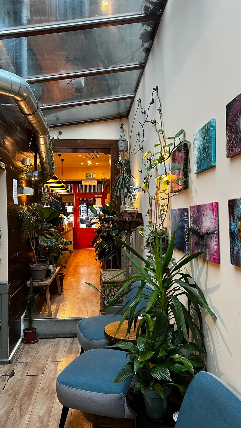 Art-lined corridor with hanging plants