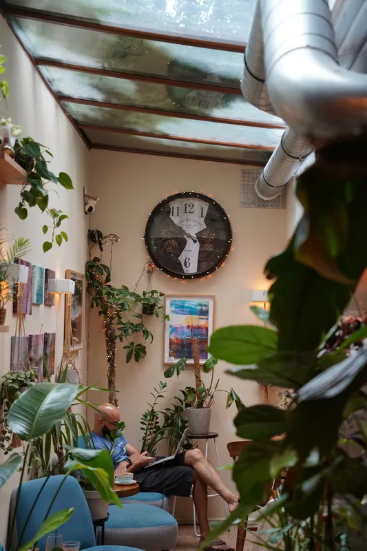 Leafy garden room beneath the cafe skylight