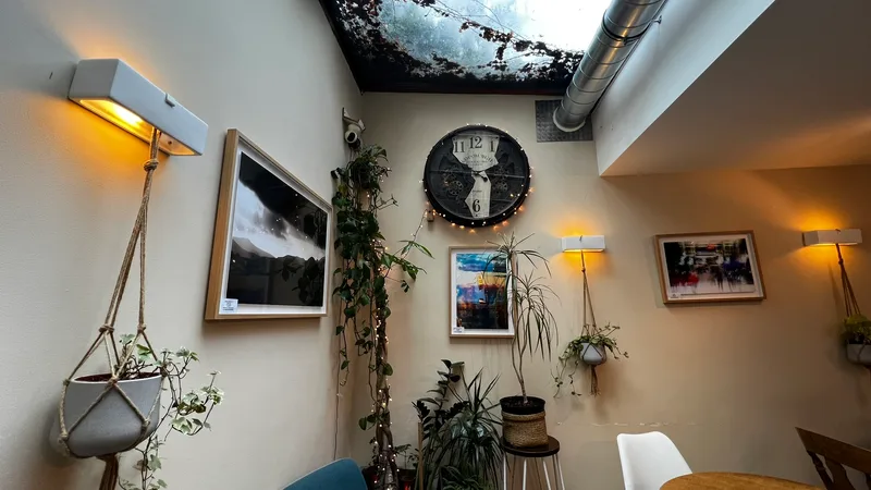 Wall art display with fairy lights and plants