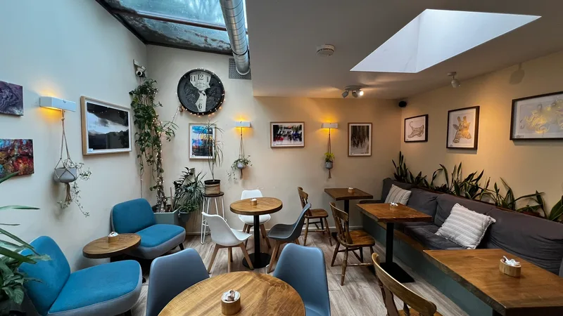 Wide view of the cafe interior with skylights